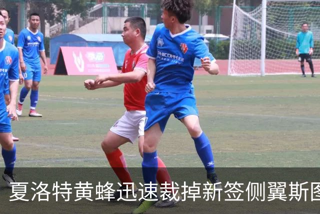 夏洛特黄蜂迅速裁掉新签侧翼斯图尔特